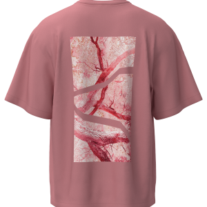 LAVIGNY colorways-prints