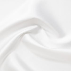 palmeto_1